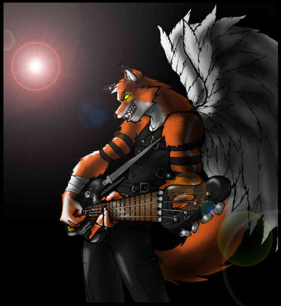 photo of winged cat playing bass photo of winged cat playing bass